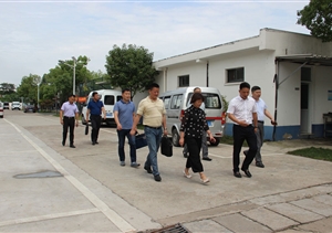 浦東新區(qū)退役軍人事務局 莊沈芳副局長來公司考察調(diào)研