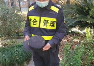 忍辱克制展風采 文明規(guī)范獲贊揚—閑林城管輔助項目隊員忍辱克制獲